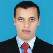 Ahmed Mohamed Sahoub